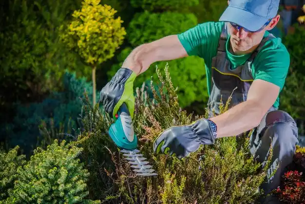 landscaping services Glenmoor